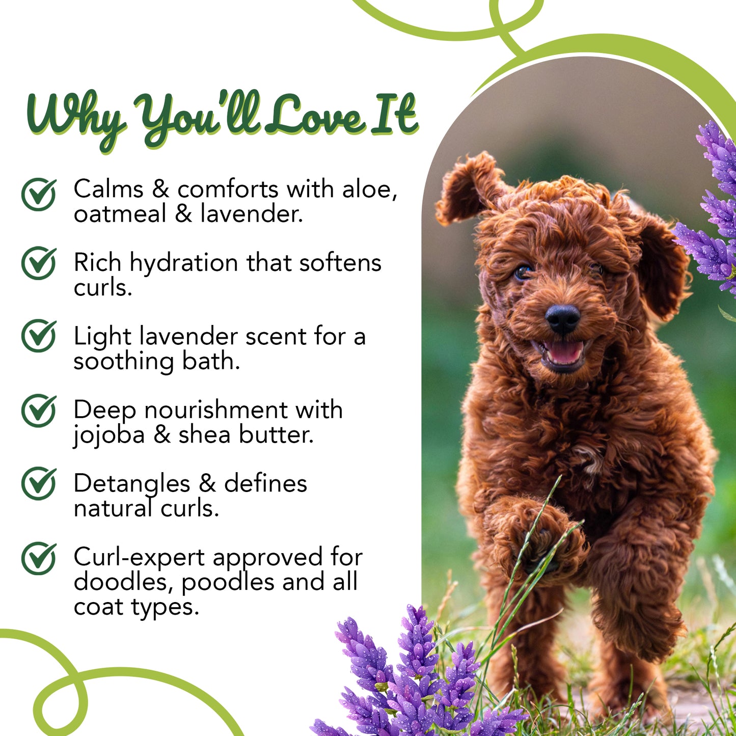 Lavender Curl Nourish Conditioner