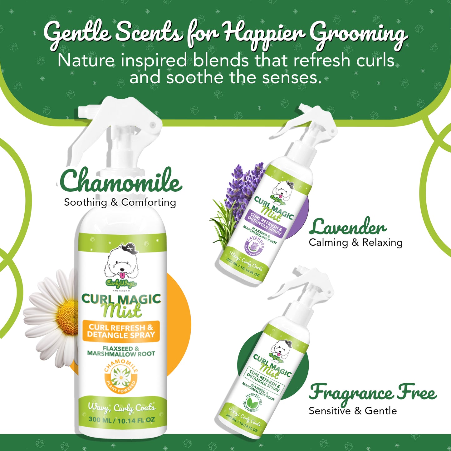 Kamille Krul Magische Mist