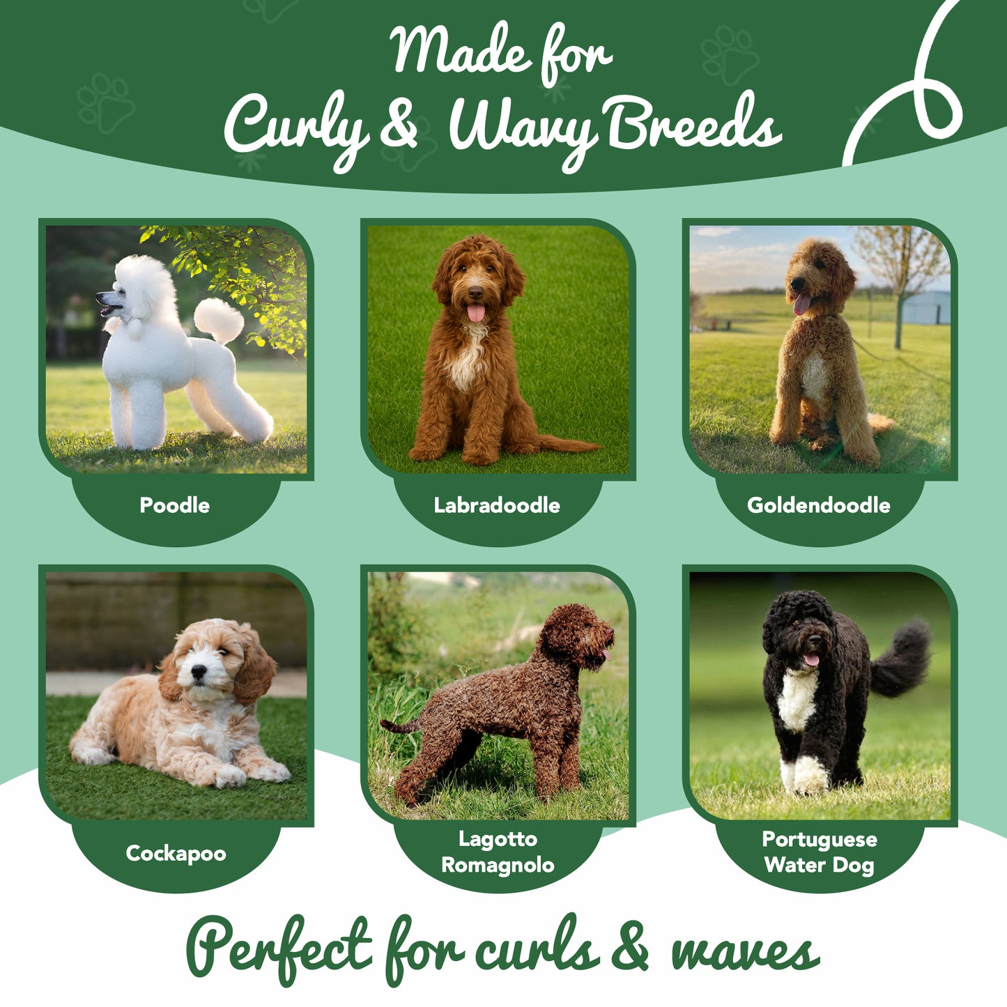Curl Magic Cream for Goldendoodles – Best | CurlyWags