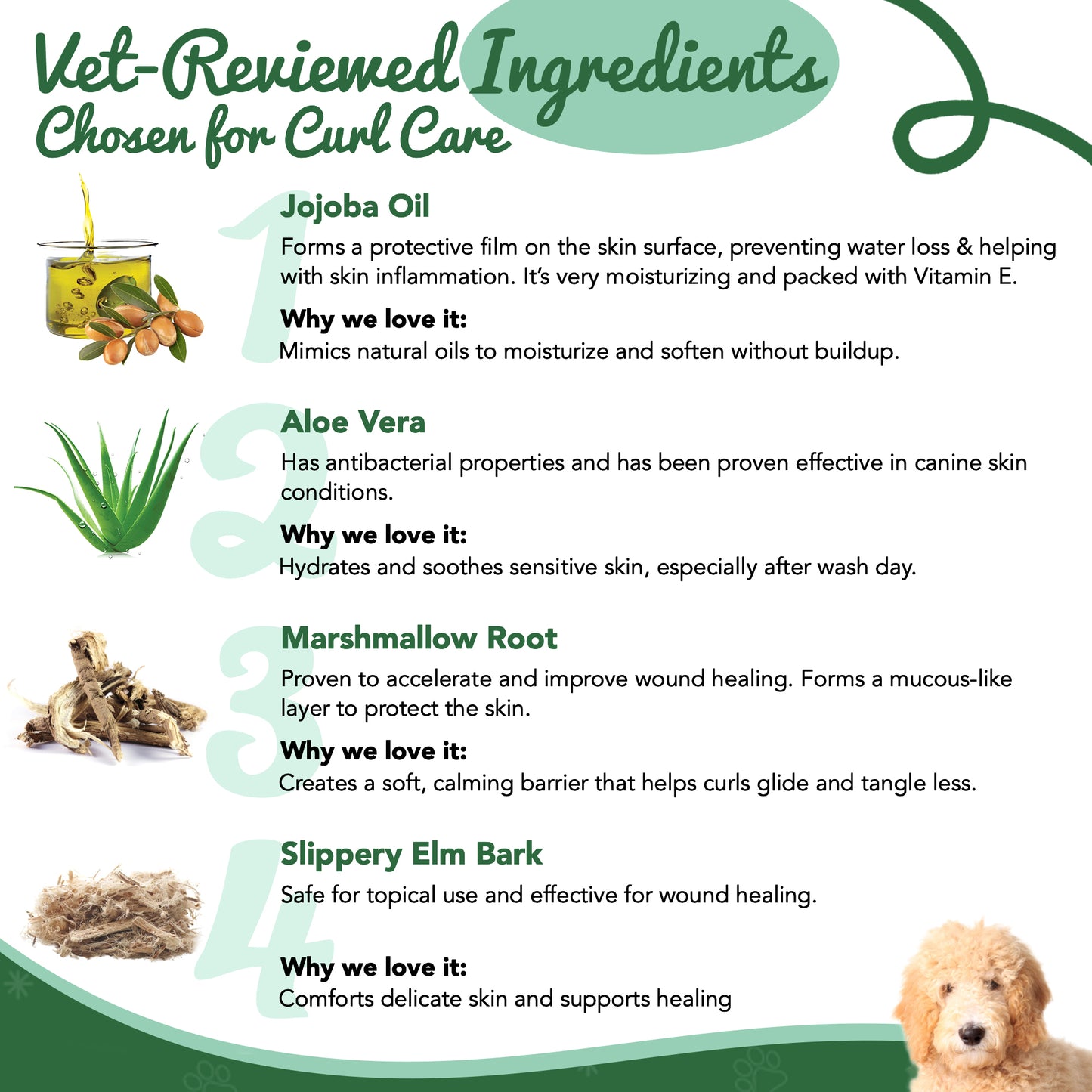 Curl Magic Cream for Goldendoodles – Best | CurlyWags