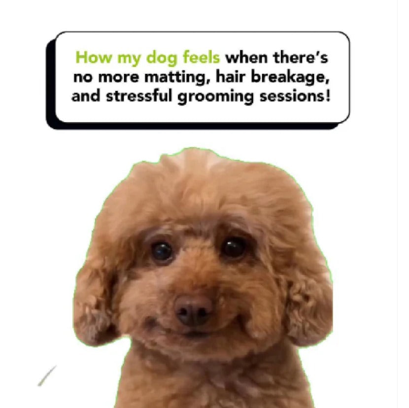 Book a Curly Coat Consultation