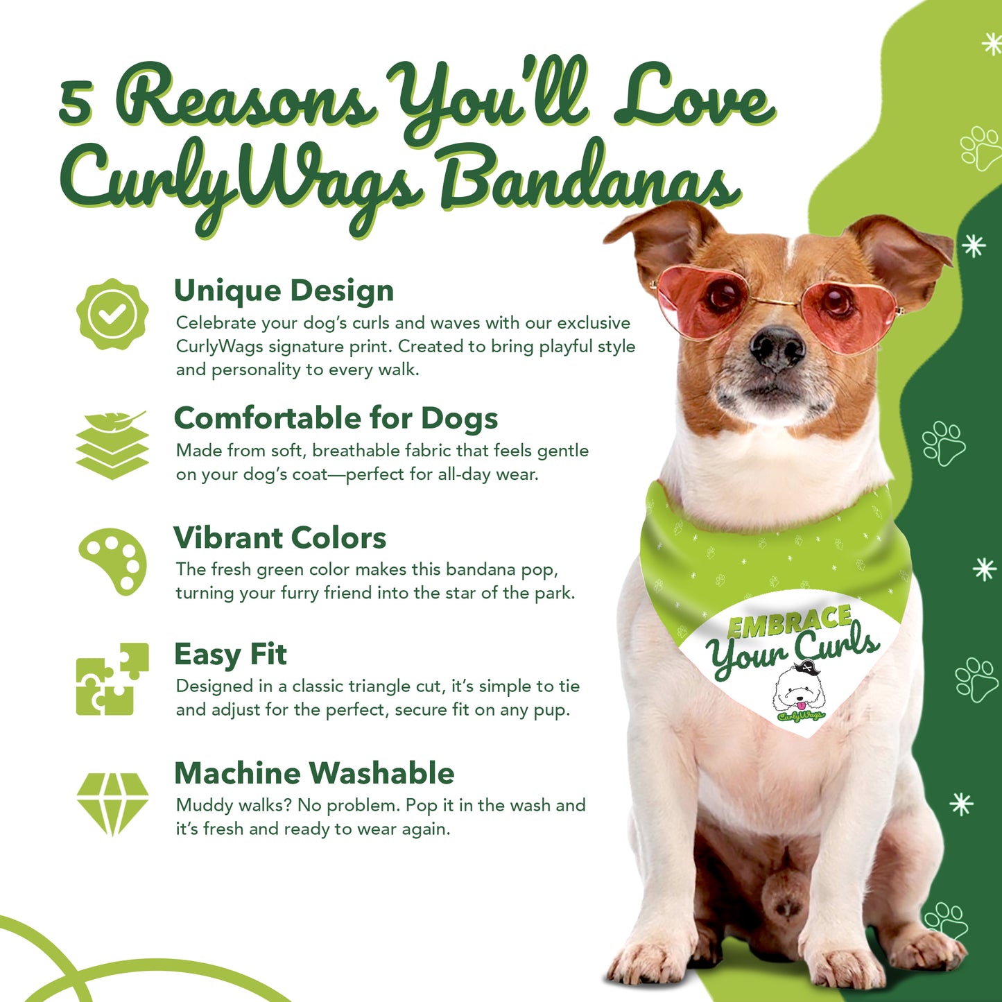 CurlyWags Signature Bandana