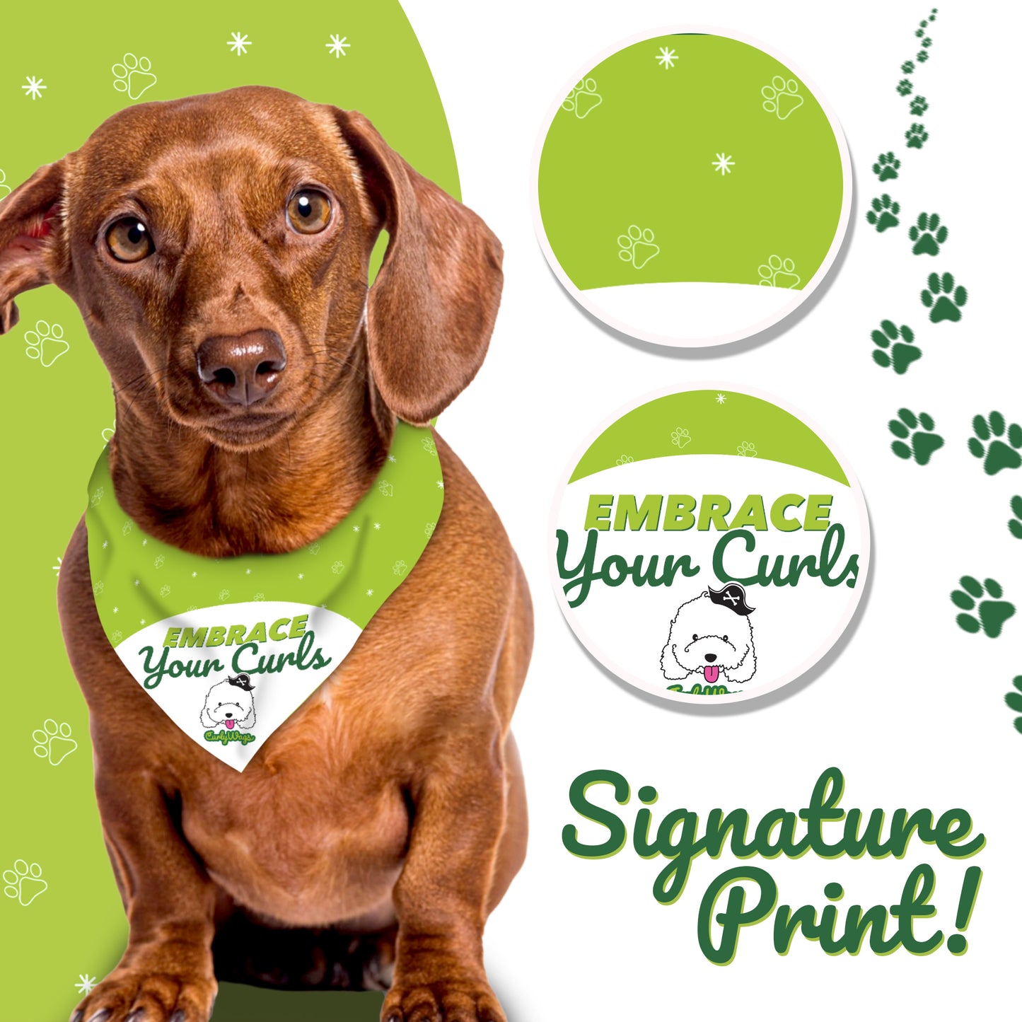 CurlyWags Signature Bandana