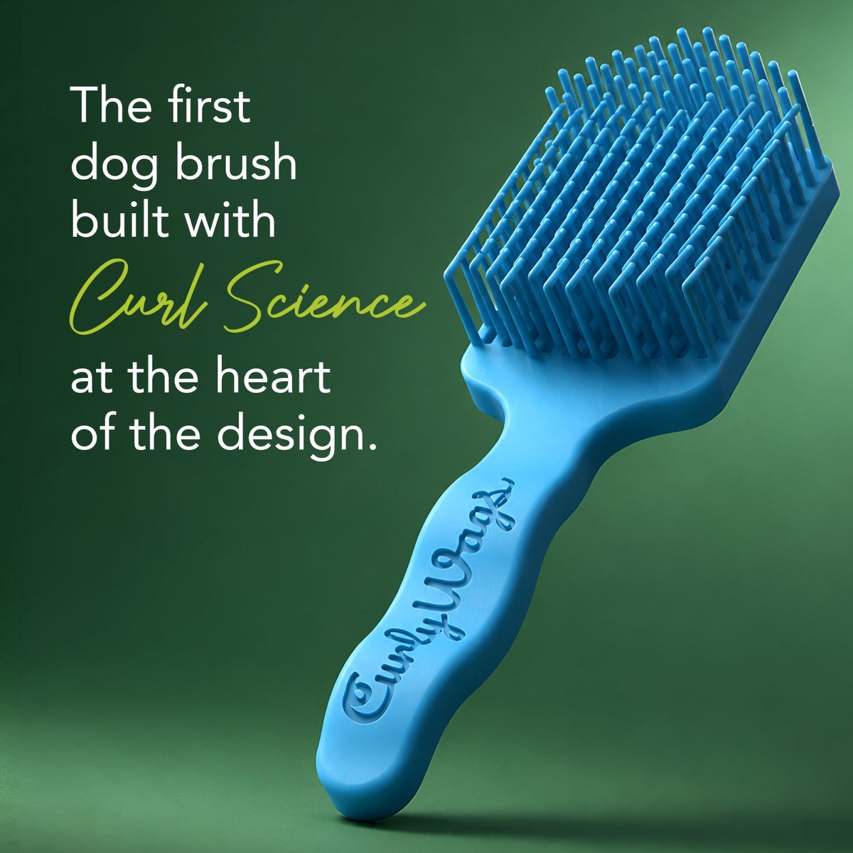 Brush & Bundles