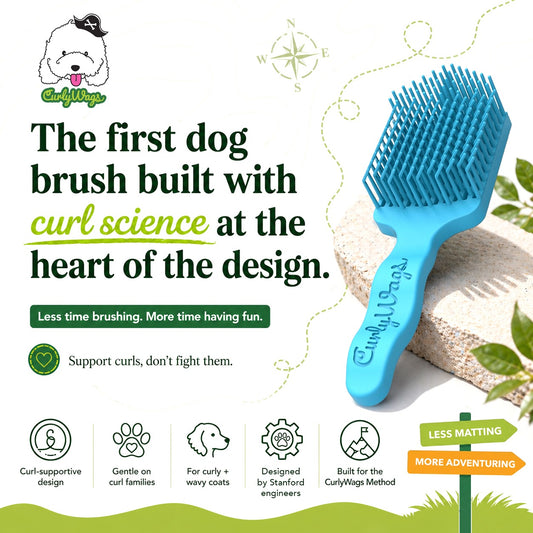 Curly Coat Detangling Brush (and Bundles)