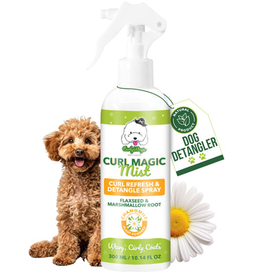 Dog detangler spray bottle with a dog 
