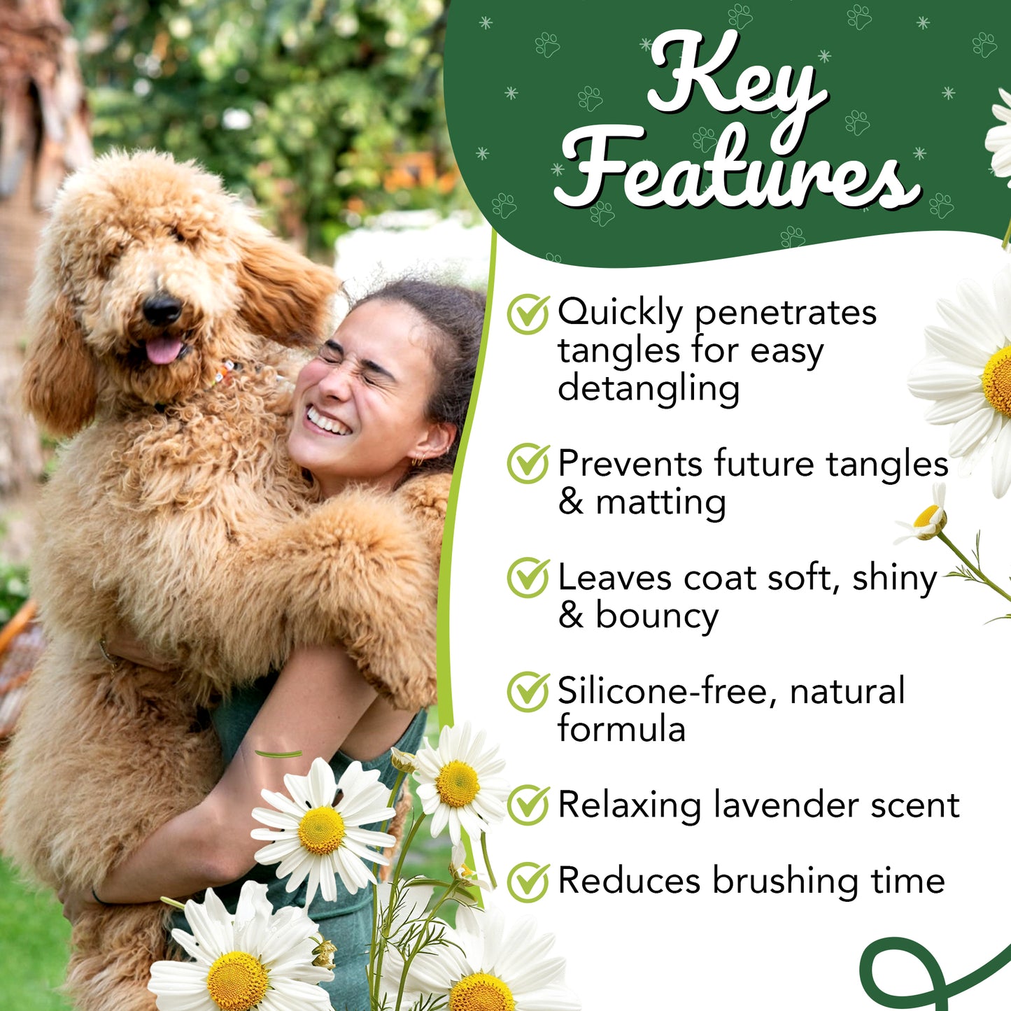 Kamille Krul Magische Mist