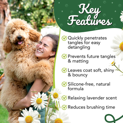 Kamille Krul Magische Mist