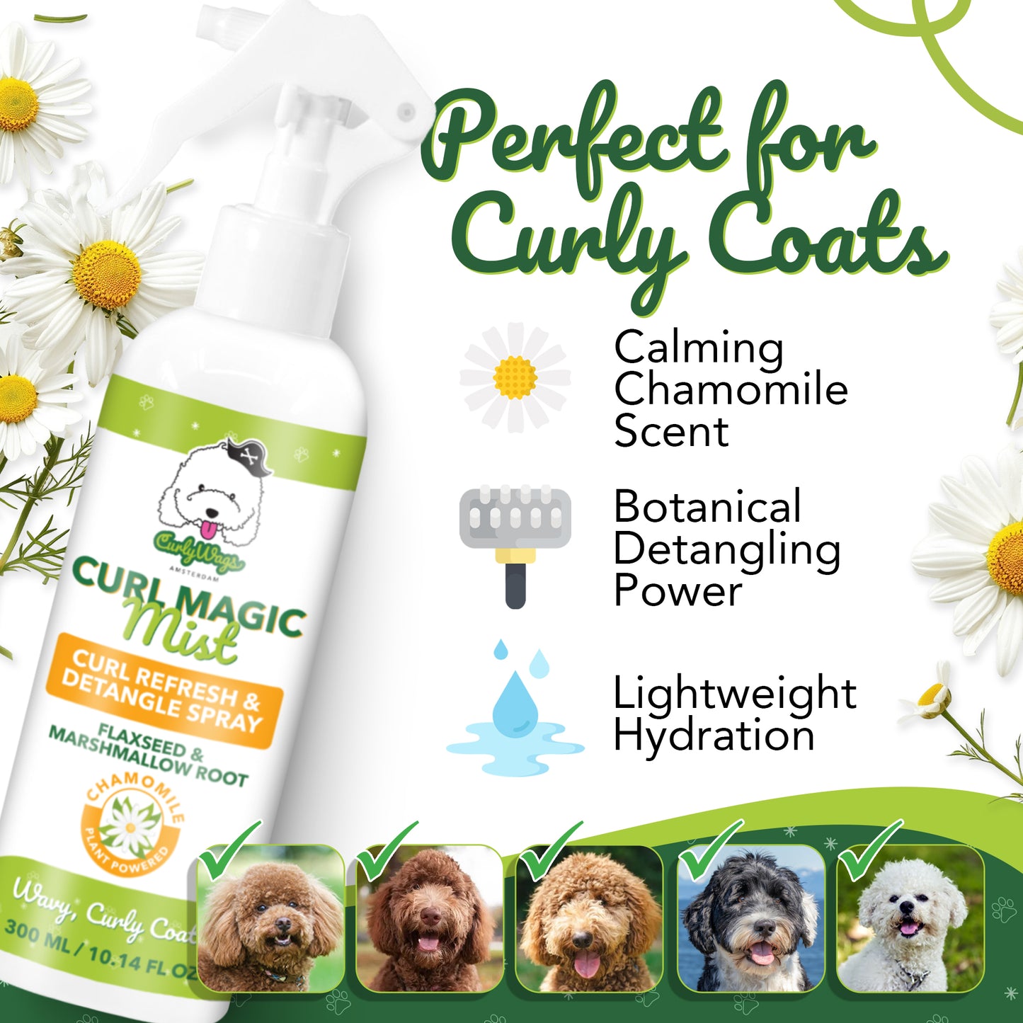 Kamille Krul Magische Mist