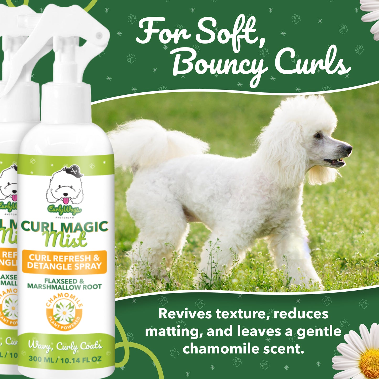 Kamille Krul Magische Mist