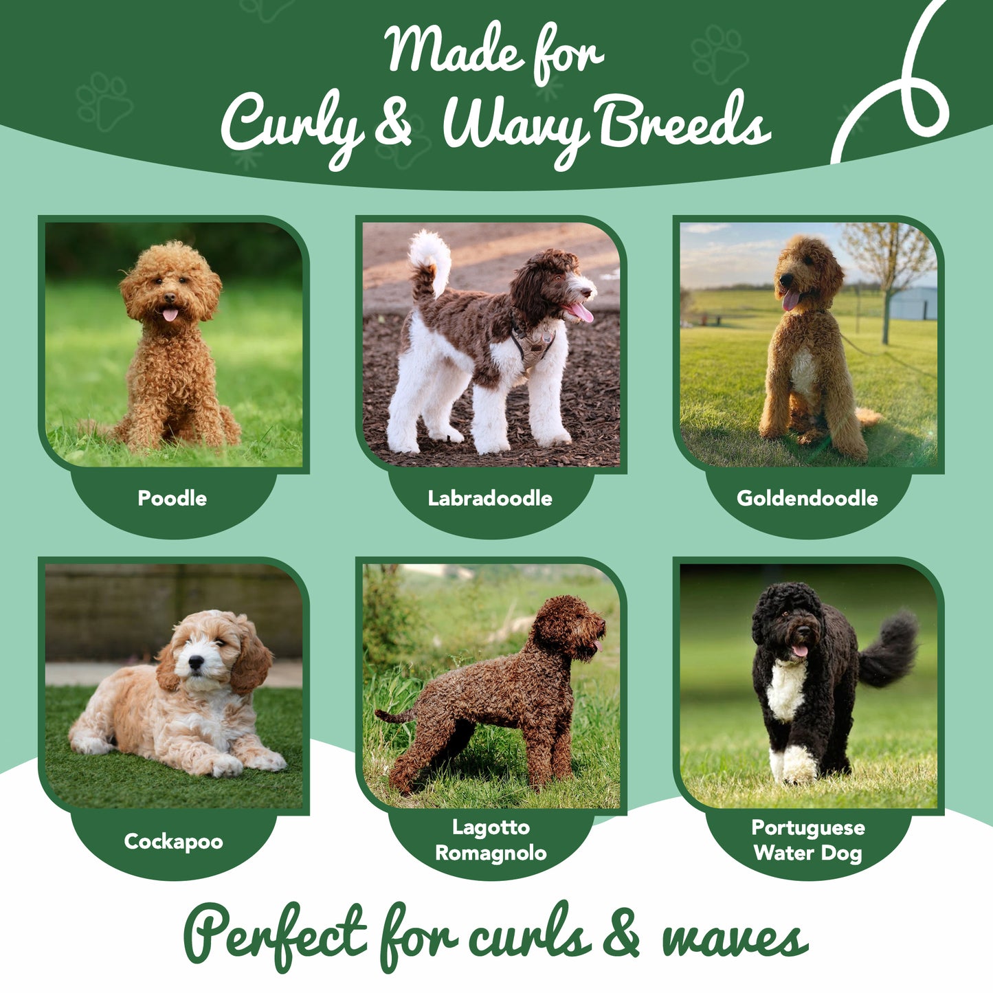 Lavender Curl Magic Cream