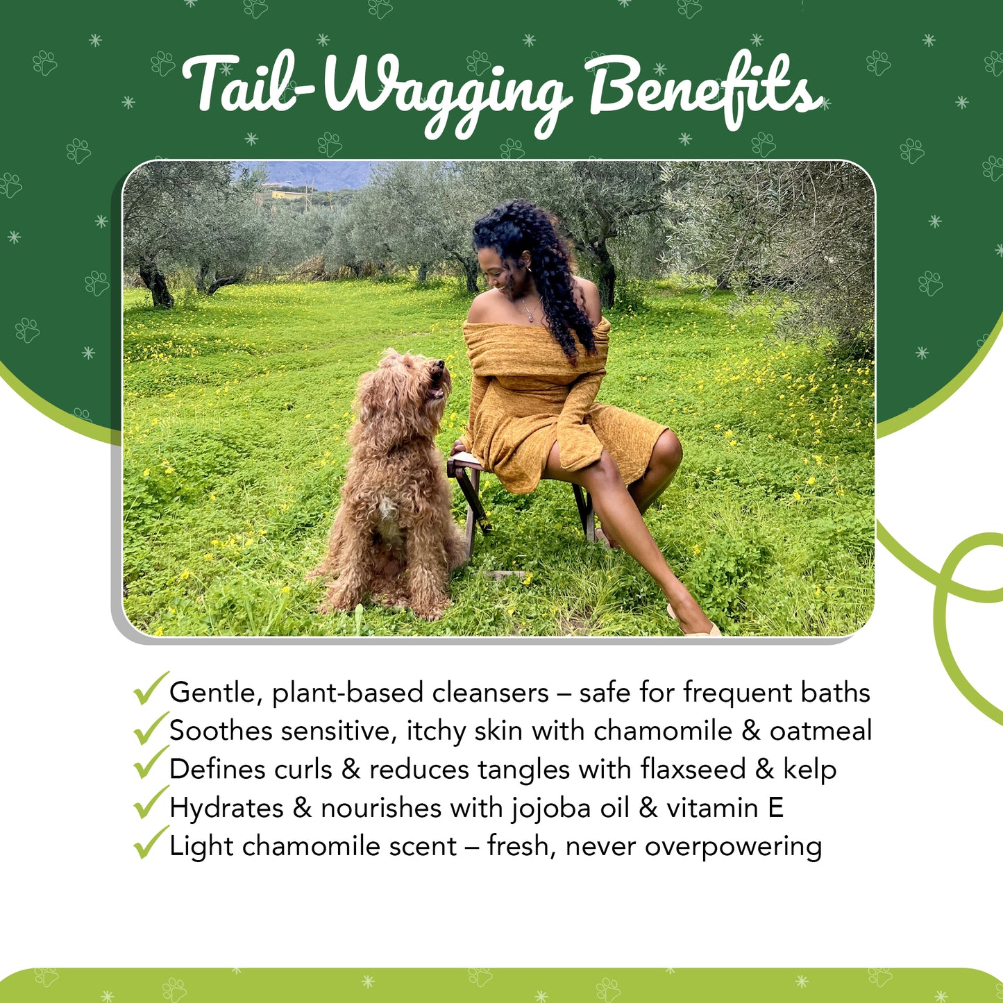 Chamomile Shampoo for Goldendoodles – Best  | CurlyWags