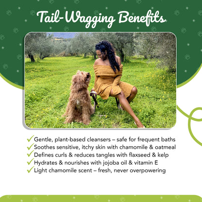 Chamomile Shampoo for Goldendoodles – Best  | CurlyWags