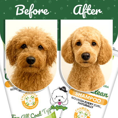 Chamomile Shampoo for Goldendoodles – Best  | CurlyWags