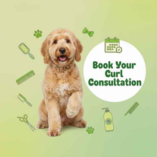 Doodle Dog Grooming Consultation (Virtual)