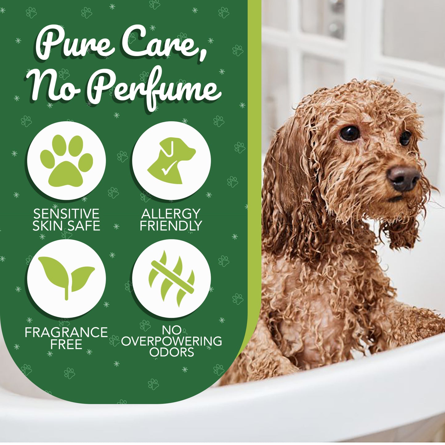 Fragrance Free Shampoo for Goldendoodles – Best  | CurlyWags