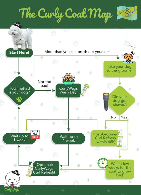 Grooming Flowchart CurlyWags Grooming Method for Tangle-Free Curls