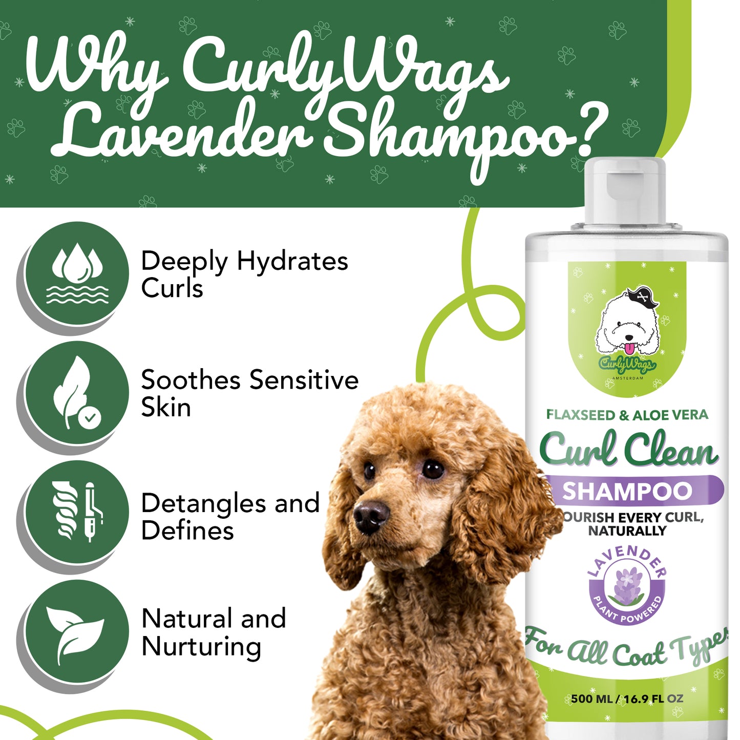 Lavender Shampoo for Goldendoodles – Best  | CurlyWags
