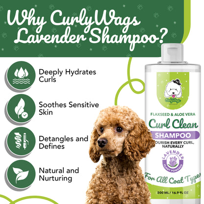Lavender Shampoo for Goldendoodles – Best  | CurlyWags