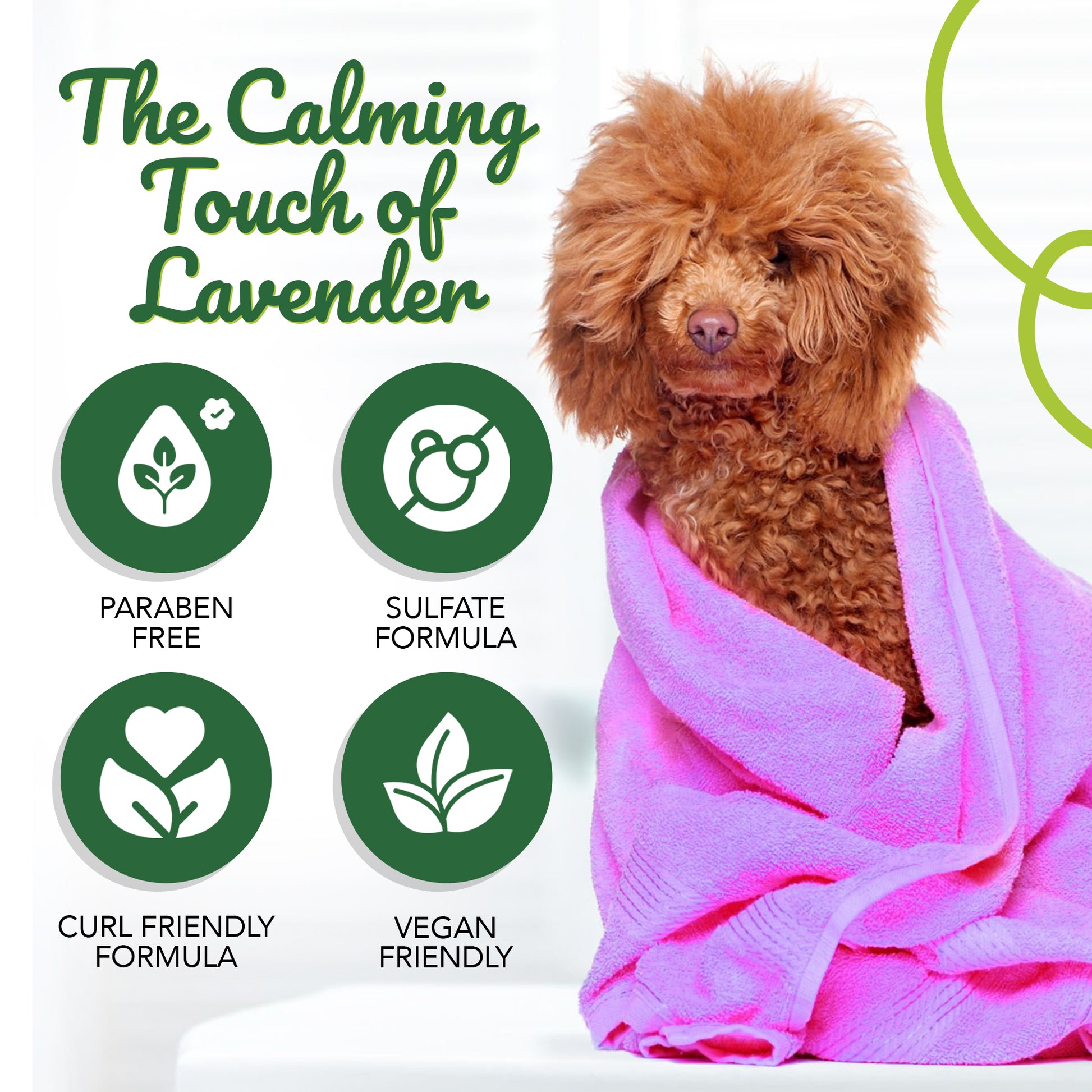 Lavender Shampoo for Goldendoodles – Best  | CurlyWags