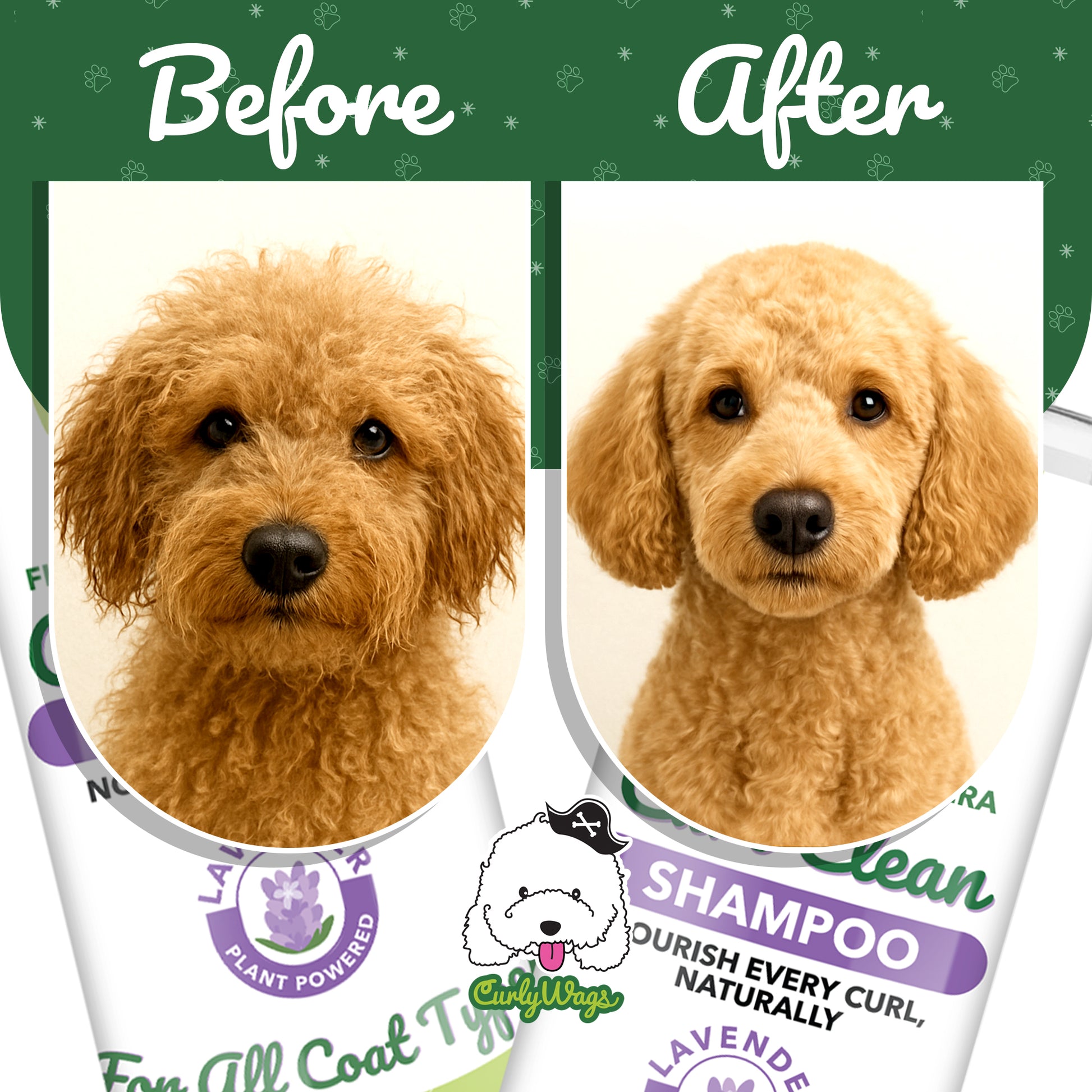 Lavender Shampoo for Goldendoodles – Best  | CurlyWags